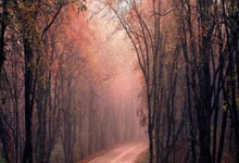 旺财28：拉波尔塔：要与一切伤害巴萨的人、以及损害我们利益的事情做斗争.