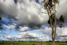 约基奇16000分里程碑！多角度回放后场压哨三分：一脸平静又装到了.