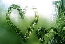 辽宁116-90山东，赛后迎来四个好消息，鄢手骐+双外步入最佳状态.