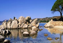 旺财28:76人三巨头正式出局!险胜公牛,独行侠你要毁了太阳队吗?.